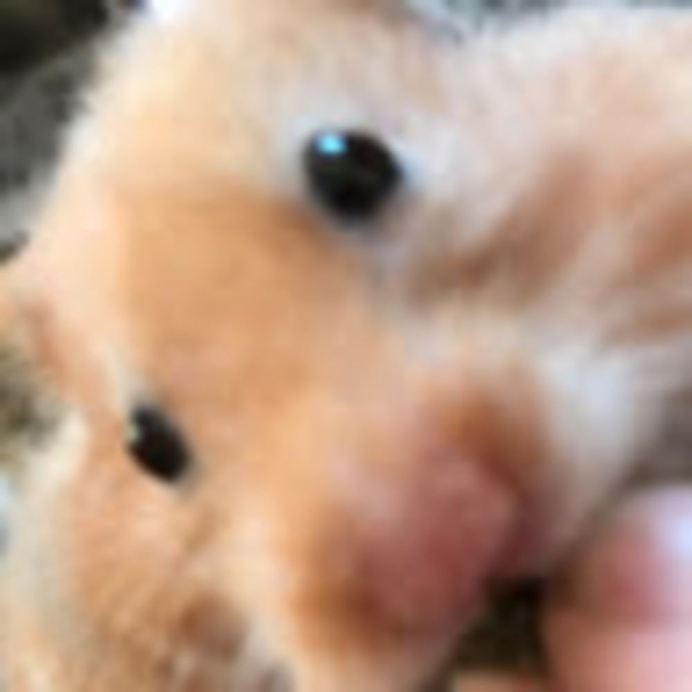 Meet your Posher, Chloe